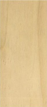 PLY Fire Door
