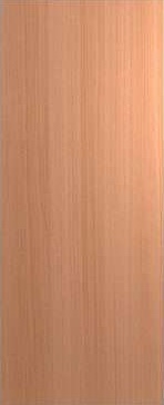 SPM Fire Door